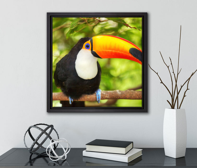 Exotischer Tukan  auf Leinwandbild Quadratisch gerahmt mit Kirschblüten