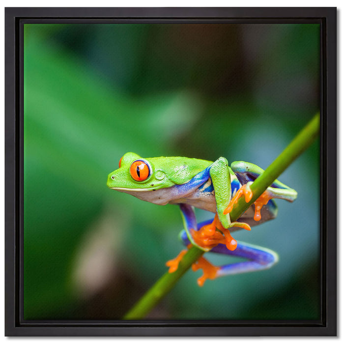 Grüner kleiner Frosch auf Ast auf Leinwandbild Quadratisch gerahmt Größe 40x40
