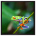 Grüner kleiner Frosch auf Ast auf Leinwandbild Quadratisch gerahmt Größe 60x60