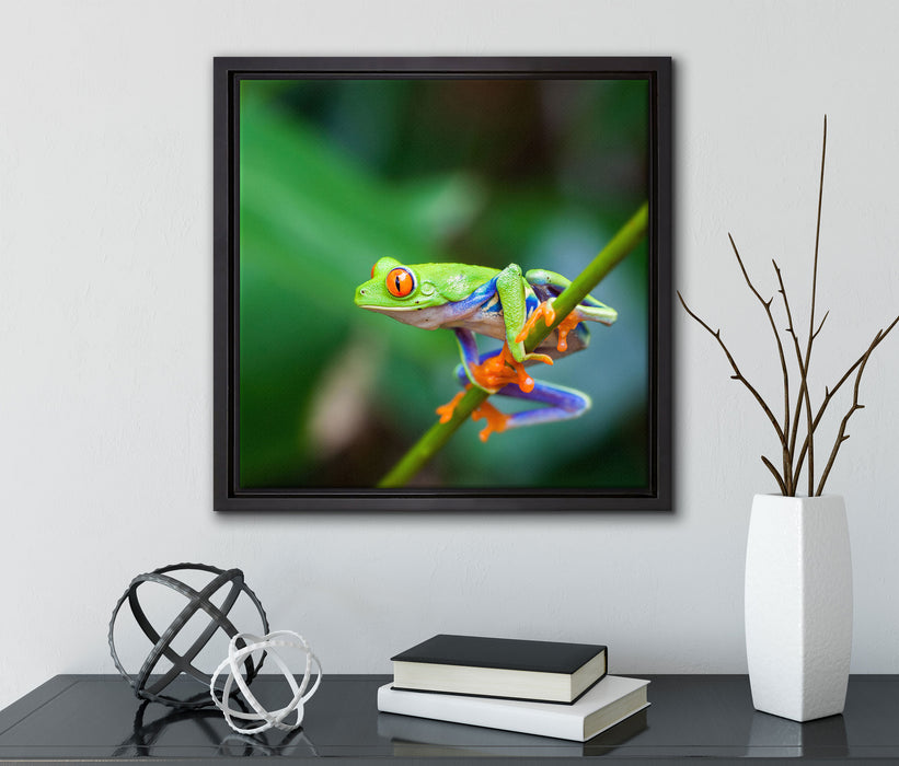 Grüner kleiner Frosch auf Ast  auf Leinwandbild Quadratisch gerahmt mit Kirschblüten