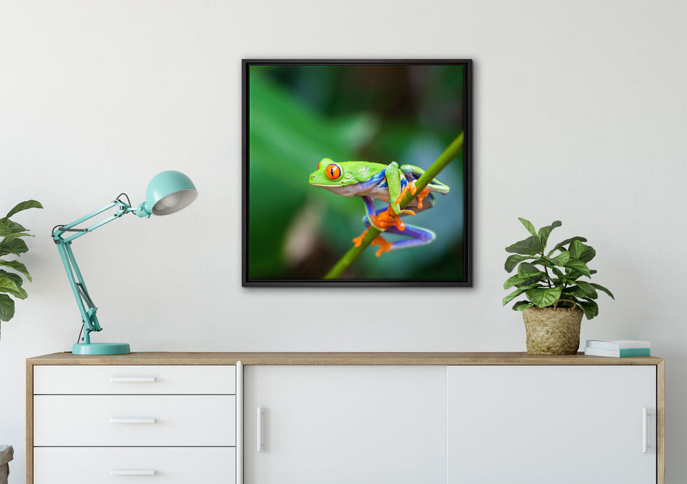 Grüner kleiner Frosch auf Ast auf Leinwandbild gerahmt Quadratisch verschiedene Größen im Wohnzimmer