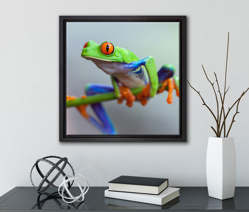 Grüner Frosch auf Ast  auf Leinwandbild Quadratisch gerahmt mit Kirschblüten