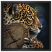 Wunderschöner Leopard auf Leinwandbild Quadratisch gerahmt Größe 40x40