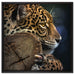 Wunderschöner Leopard auf Leinwandbild Quadratisch gerahmt Größe 60x60