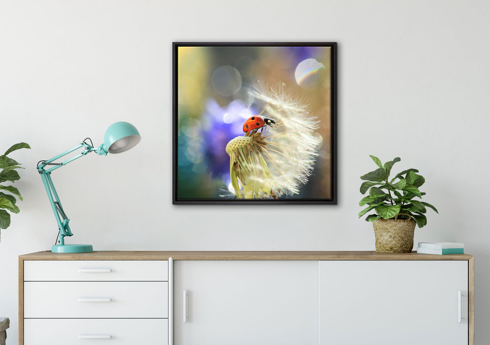 Marienkäfer auf Pusteblume auf Leinwandbild gerahmt Quadratisch verschiedene Größen im Wohnzimmer