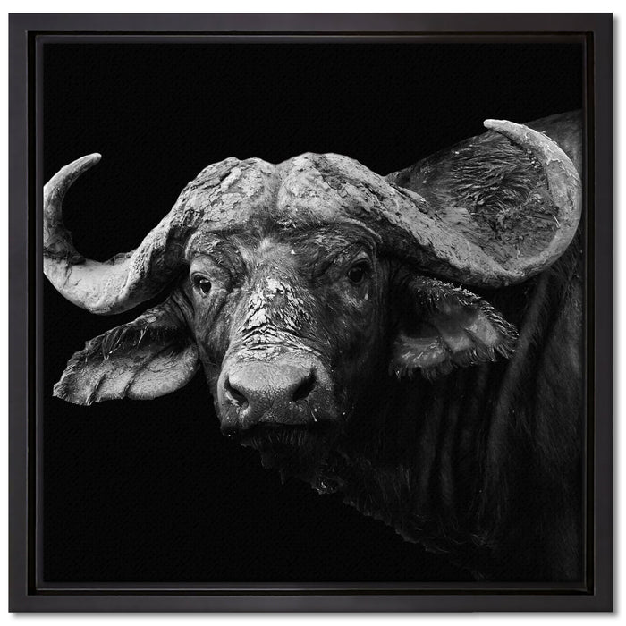 Dark Wasserbüffel auf Leinwandbild Quadratisch gerahmt Größe 40x40