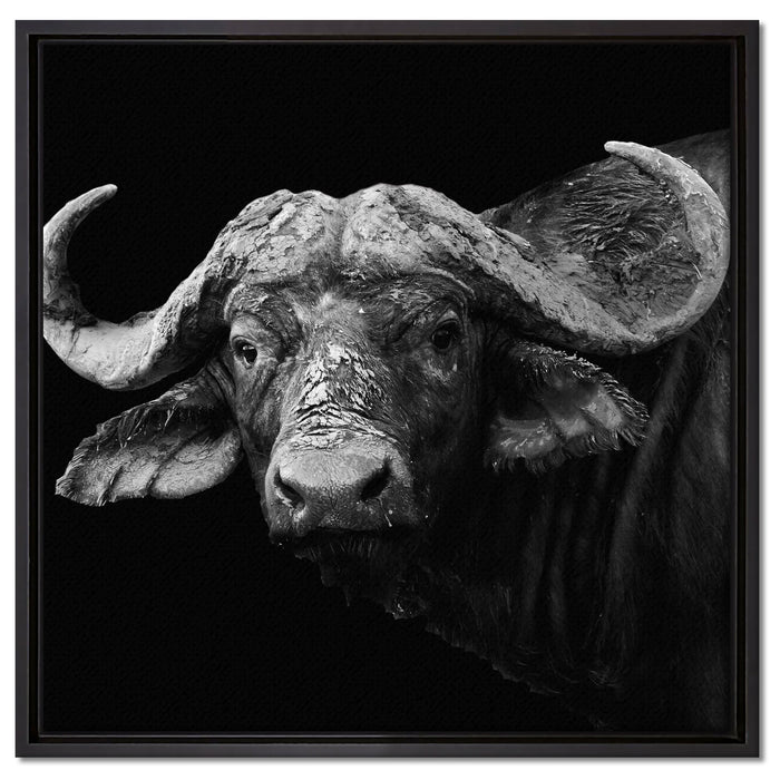 Dark Wasserbüffel auf Leinwandbild Quadratisch gerahmt Größe 60x60