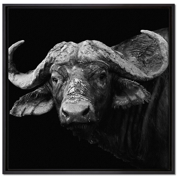 Dark Wasserbüffel auf Leinwandbild Quadratisch gerahmt Größe 70x70