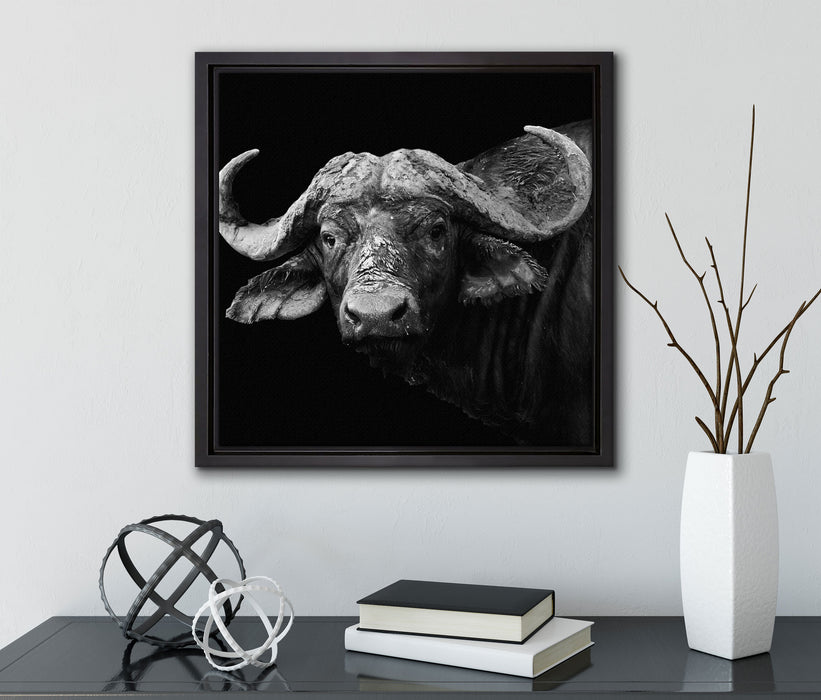Dark Wasserbüffel  auf Leinwandbild Quadratisch gerahmt mit Kirschblüten