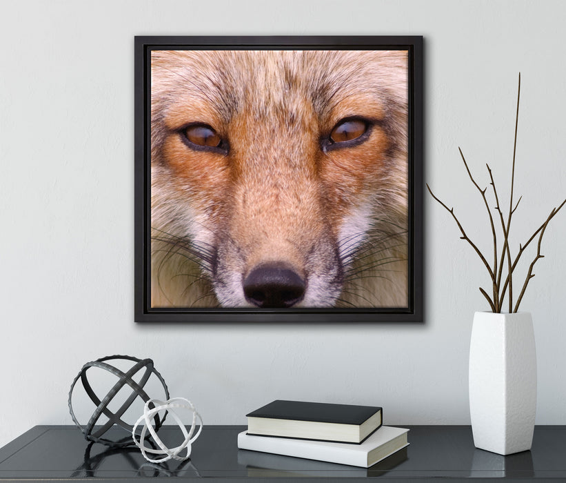 Fuchs Porträt  auf Leinwandbild Quadratisch gerahmt mit Kirschblüten