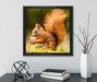 Eichhörnchen mit Nuss  auf Leinwandbild Quadratisch gerahmt mit Kirschblüten