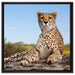 Gepard in Savanne auf Leinwandbild Quadratisch gerahmt Größe 60x60