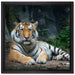 Liegender Tiger auf Leinwandbild Quadratisch gerahmt Größe 40x40