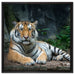 Liegender Tiger auf Leinwandbild Quadratisch gerahmt Größe 60x60