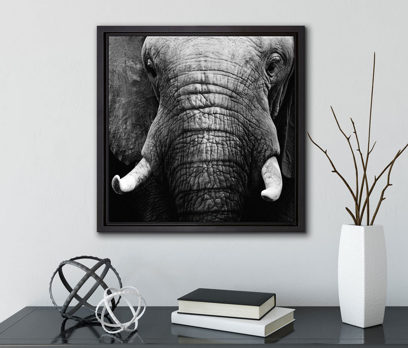 Elefant Porträt  auf Leinwandbild Quadratisch gerahmt mit Kirschblüten