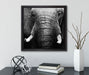 Elefant Porträt  auf Leinwandbild Quadratisch gerahmt mit Kirschblüten