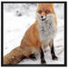 Fuchs im Schnee auf Leinwandbild Quadratisch gerahmt Größe 70x70