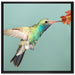 Bunter Kolibri auf Leinwandbild Quadratisch gerahmt Größe 70x70
