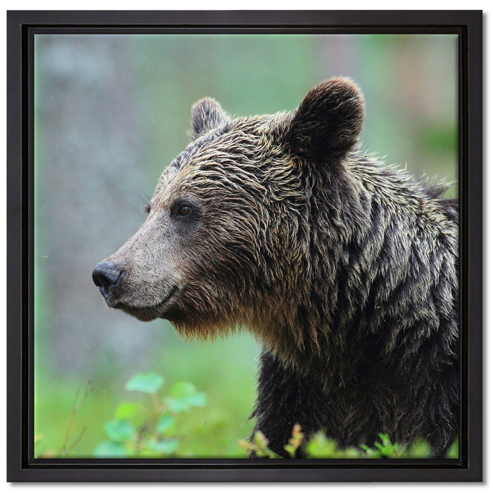 Kleiner Bär auf Leinwandbild Quadratisch gerahmt Größe 40x40