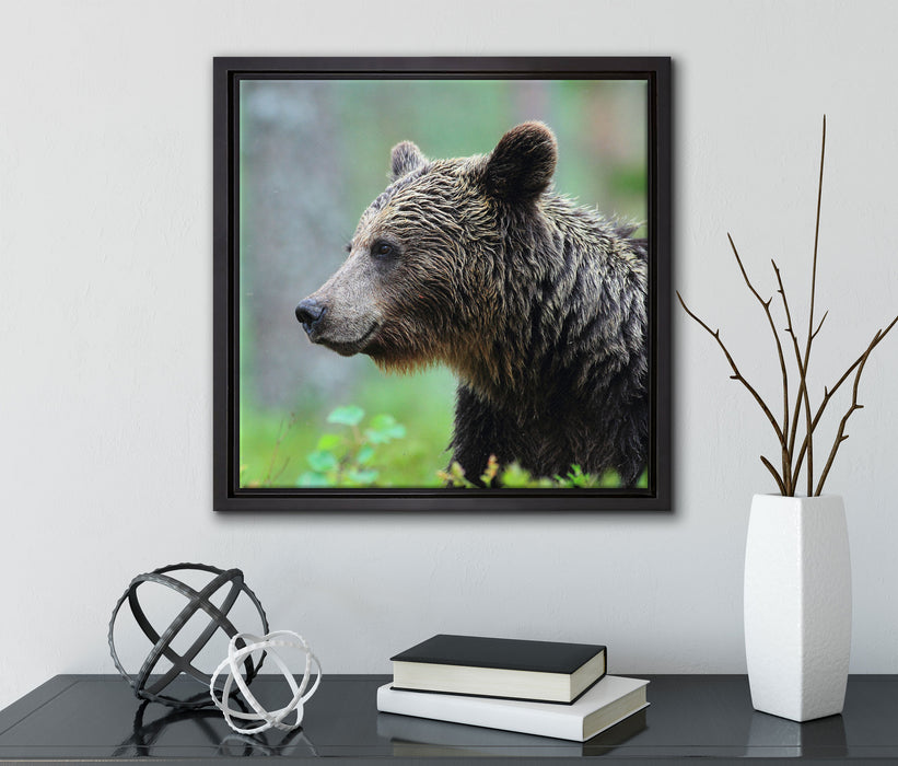 Kleiner Bär  auf Leinwandbild Quadratisch gerahmt mit Kirschblüten