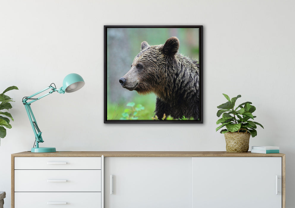 Kleiner Bär auf Leinwandbild gerahmt Quadratisch verschiedene Größen im Wohnzimmer