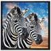 Zebra Pärchen auf Leinwandbild Quadratisch gerahmt Größe 70x70