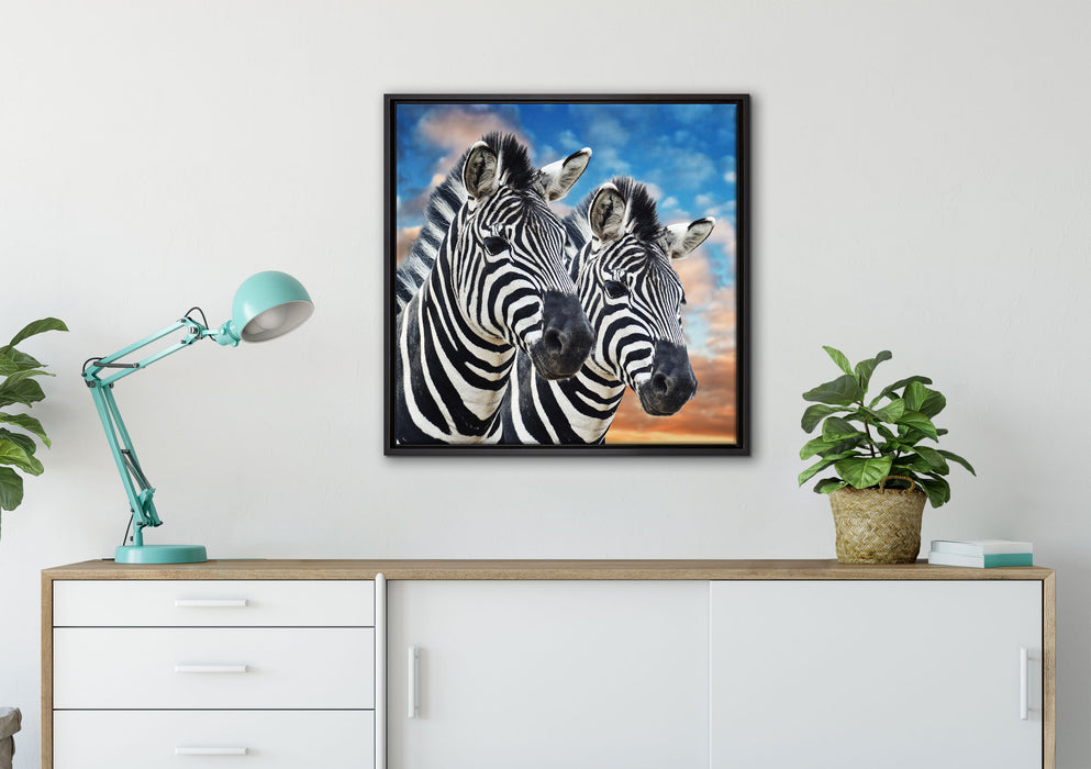 Zebra Pärchen auf Leinwandbild gerahmt Quadratisch verschiedene Größen im Wohnzimmer