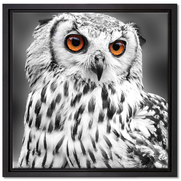 Eule mit orangen Augen auf Leinwandbild Quadratisch gerahmt Größe 40x40