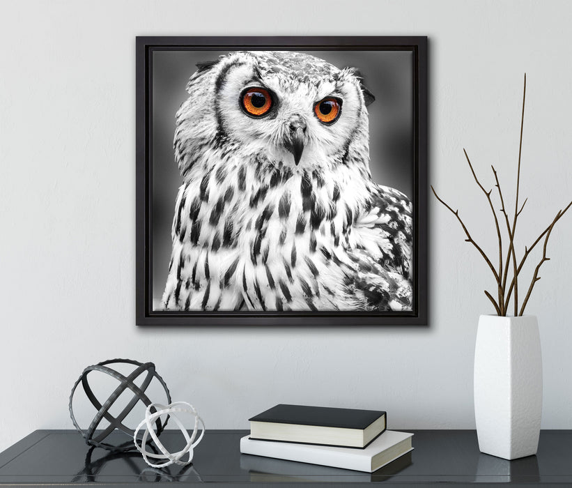 Eule mit orangen Augen  auf Leinwandbild Quadratisch gerahmt mit Kirschblüten