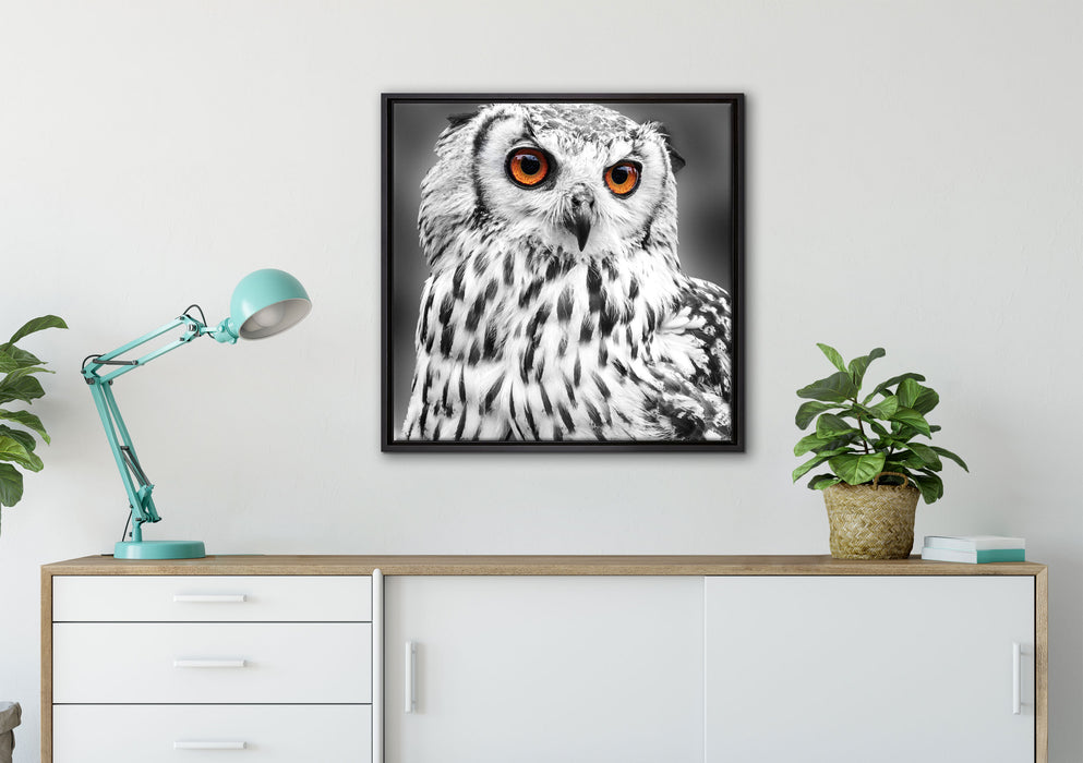 Eule mit orangen Augen auf Leinwandbild gerahmt Quadratisch verschiedene Größen im Wohnzimmer