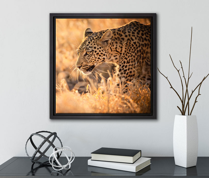 Jagender Leopard  auf Leinwandbild Quadratisch gerahmt mit Kirschblüten