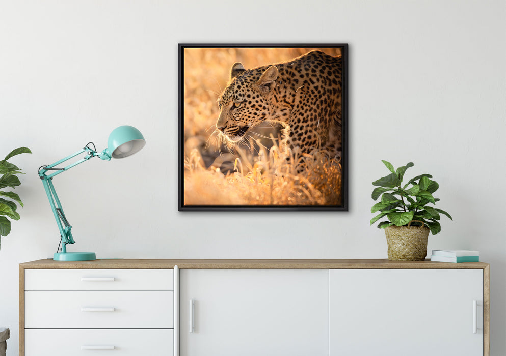 Jagender Leopard auf Leinwandbild gerahmt Quadratisch verschiedene Größen im Wohnzimmer