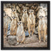 Lustige Erdmännchen auf Leinwandbild Quadratisch gerahmt Größe 40x40