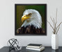 Mächtiger Weißkopfseeadler  auf Leinwandbild Quadratisch gerahmt mit Kirschblüten