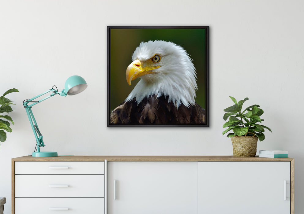 Mächtiger Weißkopfseeadler auf Leinwandbild gerahmt Quadratisch verschiedene Größen im Wohnzimmer