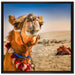 Lustiges Kamel in Wüste auf Leinwandbild Quadratisch gerahmt Größe 70x70