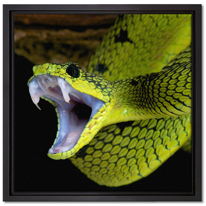 Giftige grüne Schlange auf Leinwandbild Quadratisch gerahmt Größe 40x40