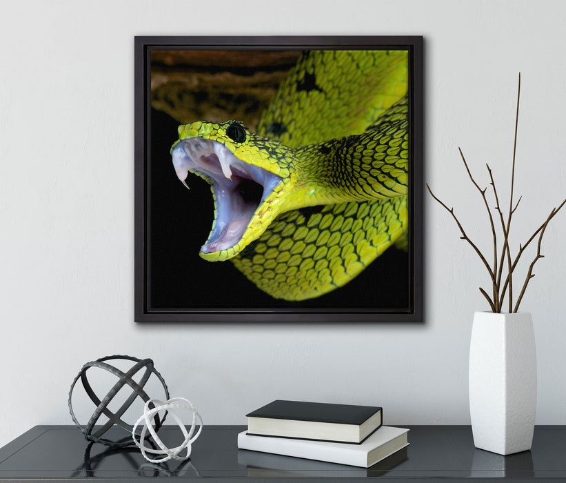 Giftige grüne Schlange  auf Leinwandbild Quadratisch gerahmt mit Kirschblüten