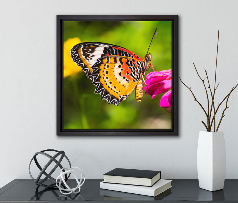 Schmetterling auf Blüte  auf Leinwandbild Quadratisch gerahmt mit Kirschblüten