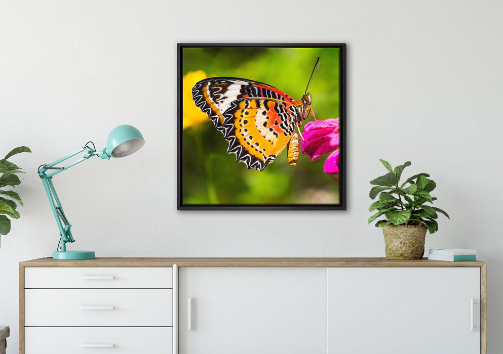 Schmetterling auf Blüte auf Leinwandbild gerahmt Quadratisch verschiedene Größen im Wohnzimmer