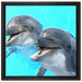 Delfinpaar auf Leinwandbild Quadratisch gerahmt Größe 40x40