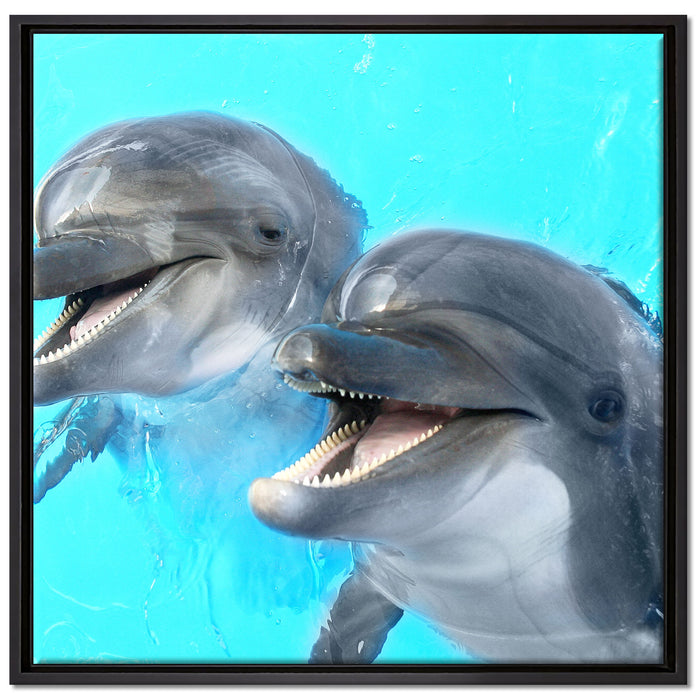 Delfinpaar auf Leinwandbild Quadratisch gerahmt Größe 70x70