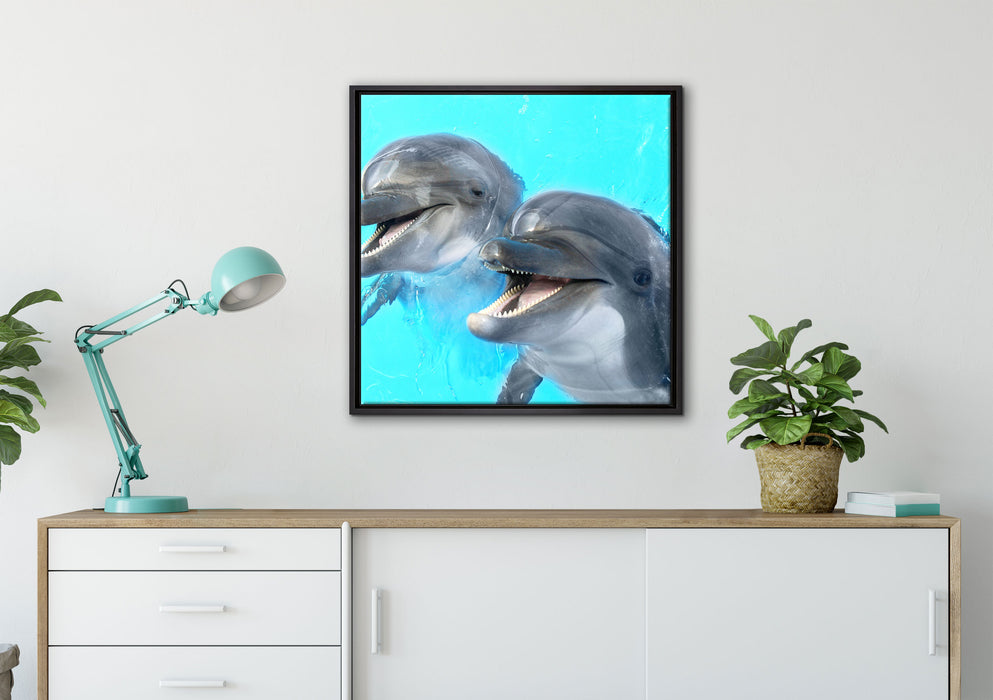 Delfinpaar auf Leinwandbild gerahmt Quadratisch verschiedene Größen im Wohnzimmer
