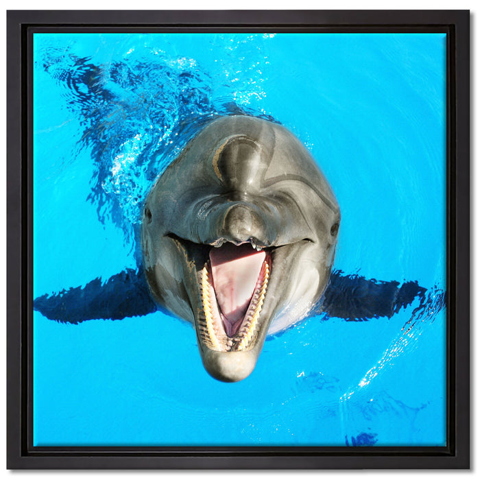 Delfin lacht auf Leinwandbild Quadratisch gerahmt Größe 40x40