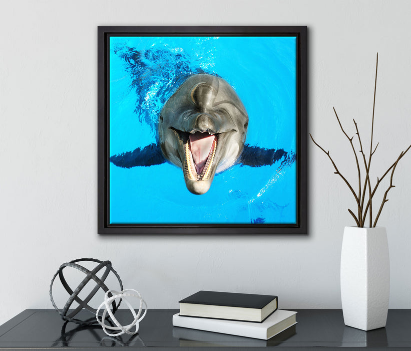 Delfin lacht  auf Leinwandbild Quadratisch gerahmt mit Kirschblüten
