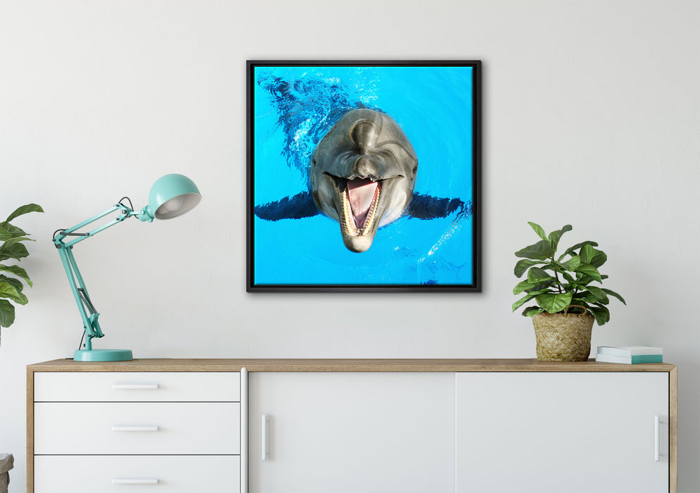 Delfin lacht auf Leinwandbild gerahmt Quadratisch verschiedene Größen im Wohnzimmer