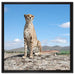 Wachsamer Gepard auf Leinwandbild Quadratisch gerahmt Größe 60x60