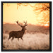 Hirsch im Sonnenuntergang auf Leinwandbild Quadratisch gerahmt Größe 60x60
