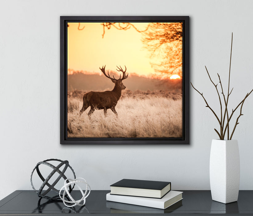 Hirsch im Sonnenuntergang  auf Leinwandbild Quadratisch gerahmt mit Kirschblüten
