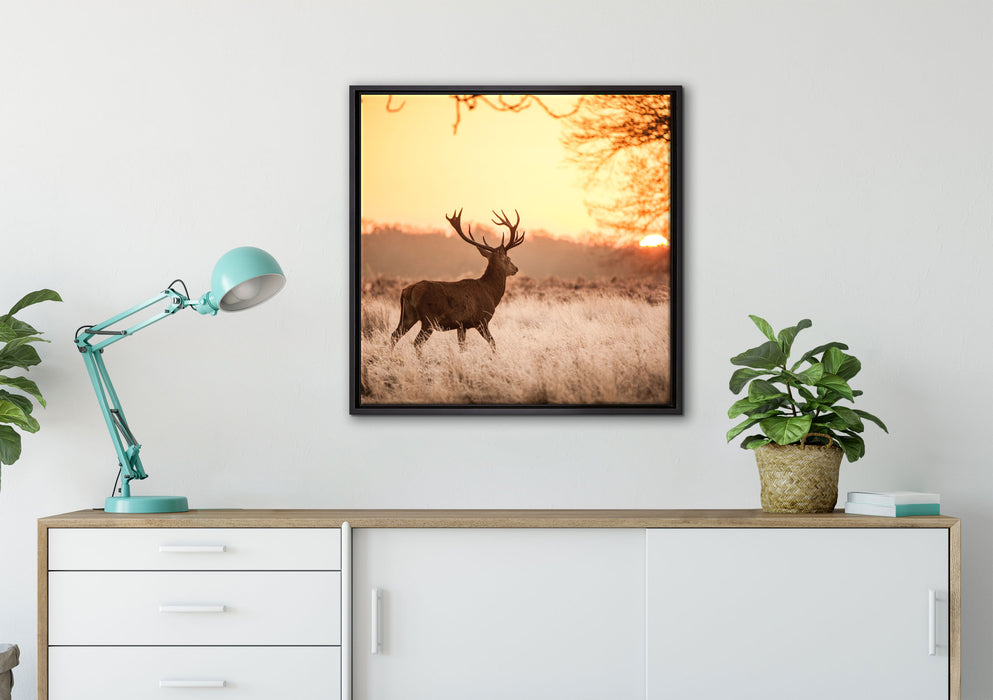 Hirsch im Sonnenuntergang auf Leinwandbild gerahmt Quadratisch verschiedene Größen im Wohnzimmer